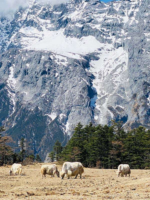 Trekking in Cina: passi d’Oriente tra Yunnan e Sichuan