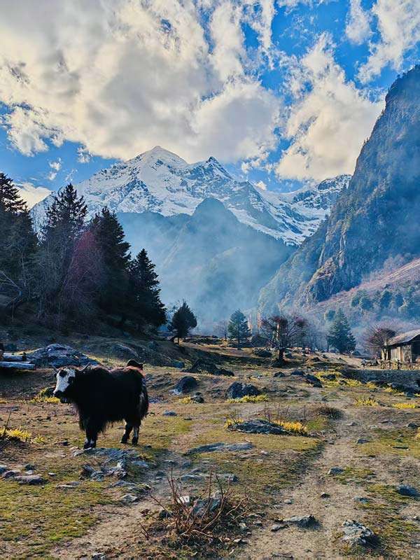 Trekking in Cina nello Yunnan