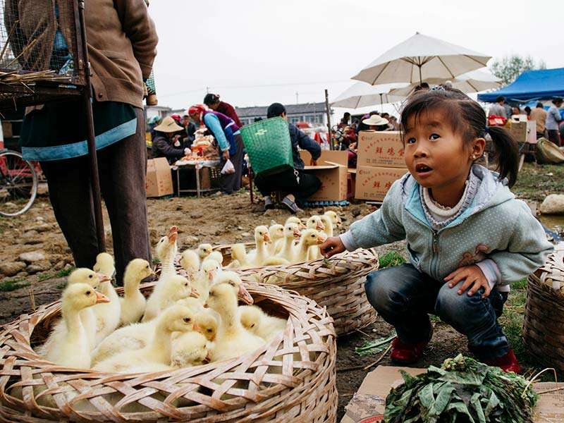 Trekking in Cina nello Yunnan